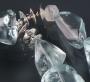 DDB_0281_CU1.jpg