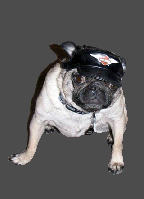 BikerDuke.png